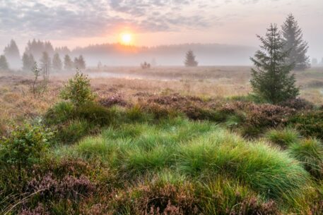 Zonsopgang - foto: Hans Debruyne