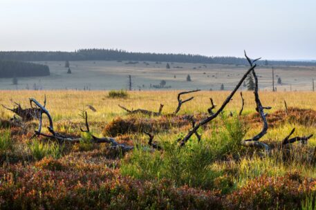 Fagnes des Deux-Séries & Wallonne - foto: Hans Debruyne