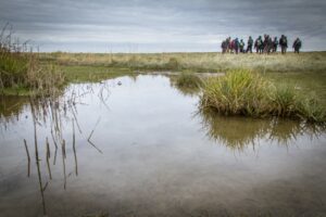 Expeditie Saeftinghe 17 Maart 2024 VOL Doe Mee Met Landschap Vzw