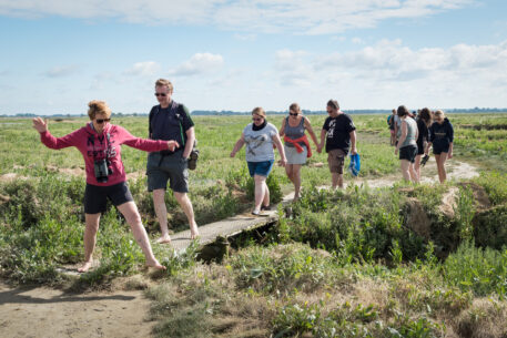 Oversteek - foto: Sandy Spaenhoven