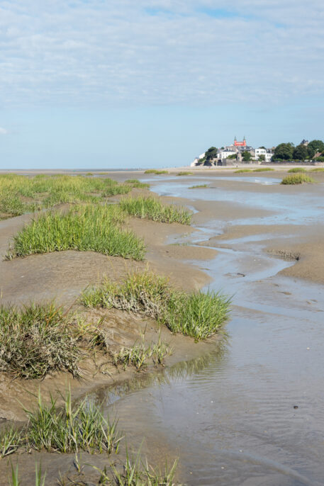 Baai van de Somme - foto: Sandy Spaenhoven