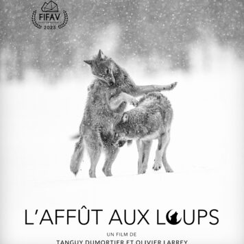 Affiche L'Affût aux Loups