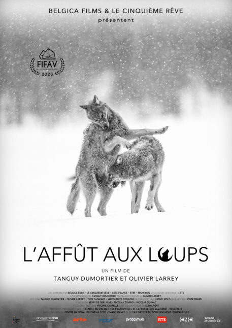 Affiche L'Affût aux Loups