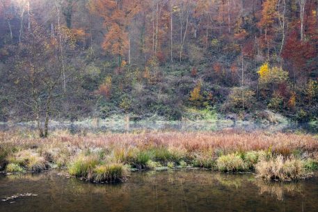 Oostelijke Ourthe - foto: Hans Debruyne