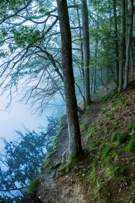 Lac de Nisramont - foto: Hans Debruyne