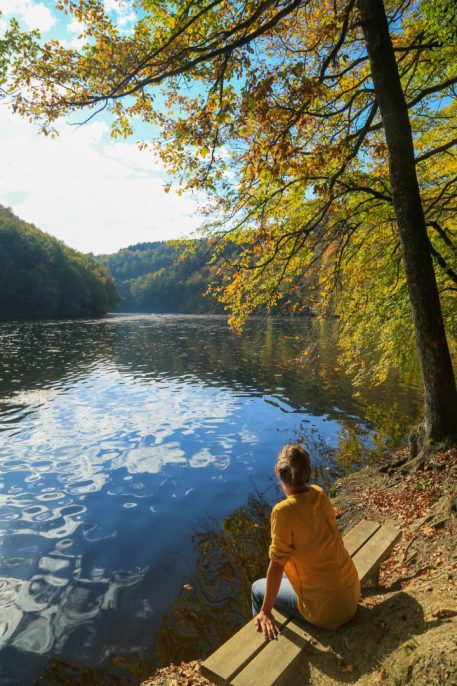 Lac de Nisramont - foto: Visit Wallonia