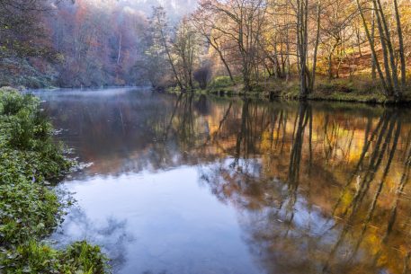 Oostelijke Ourthe - foto: Hans Debruyne