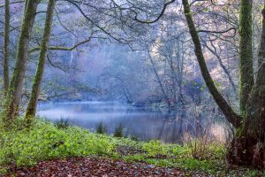 Oostelijke Ourthe - foto: Hans Debruyne