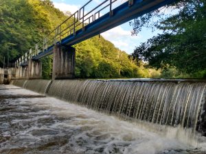 Westelijke Ourthe - foto: Jan Loos