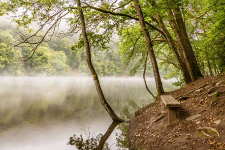 Lac de Nisramont - foto: Hans Debruyne