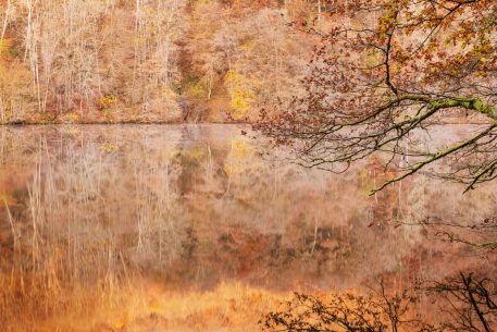 Oostelijke Ourthe - foto: Hans Debruyne